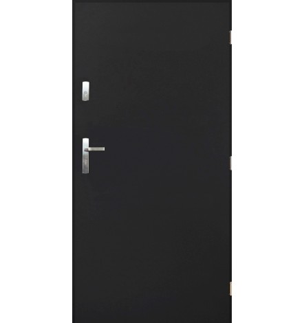 Porte d'entrée TANGO en acier inoxydable en 80 ou 90 cm