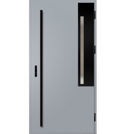 Porte d'entrée en acier avec cadre en aluminium FRYBURG 1 90*200 -100*200 cm