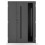 Porte d'entrée double BELIAR 80x40 cm anthracite
